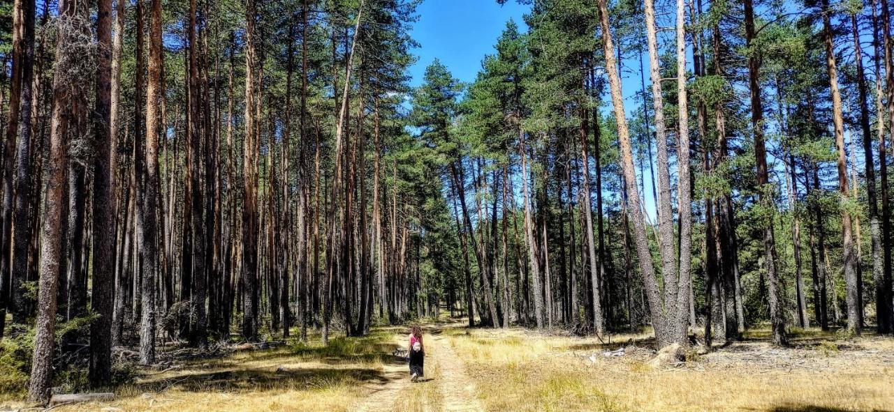 Alojamiento Rural Los Hacheros Tragacete Bagian luar foto