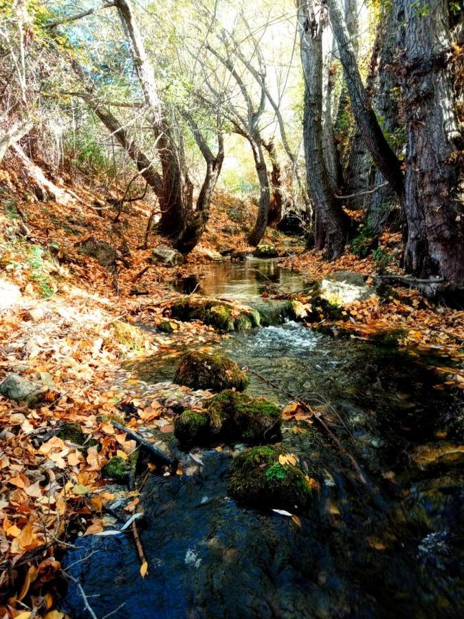 Alojamiento Rural Los Hacheros Tragacete Bagian luar foto