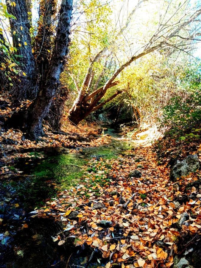 Alojamiento Rural Los Hacheros Tragacete Bagian luar foto