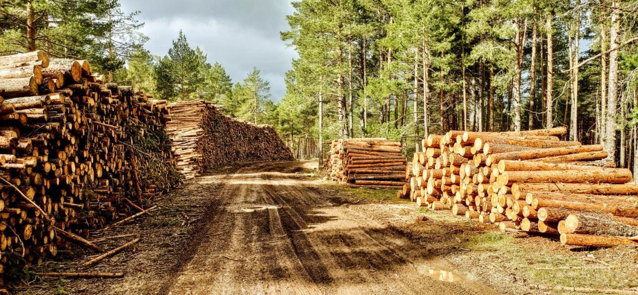 Alojamiento Rural Los Hacheros Tragacete Bagian luar foto