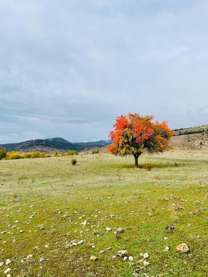 Alojamiento Rural Los Hacheros Tragacete Bagian luar foto