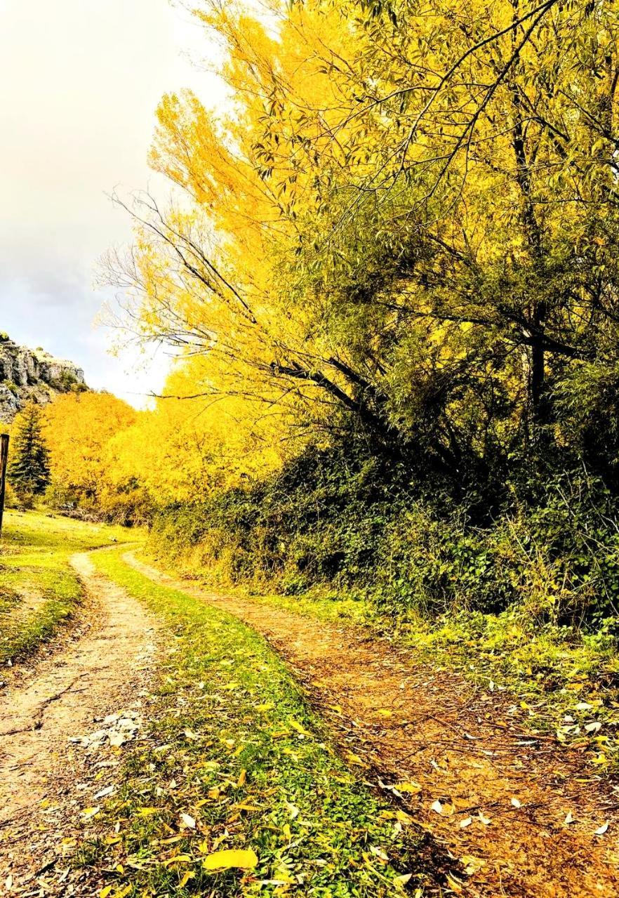 Alojamiento Rural Los Hacheros Tragacete Bagian luar foto