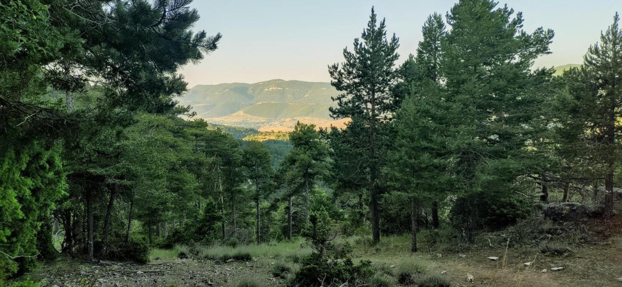 Alojamiento Rural Los Hacheros Tragacete Ruang foto